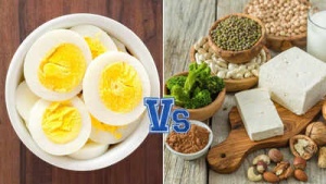 Beyond the Egg: 20 Vegetarian Powerhouses Packed with Protein