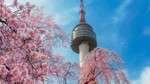 Asia’s cosiest city revealed: Why Seoul is the ultimate hub for coffee and comfort