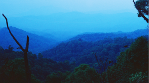 Alternatives to Darjeeling: 7 Stunning Hill Stations to Explore in West Bengal