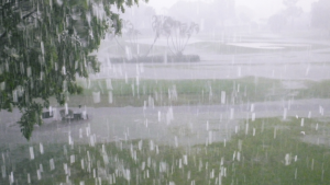 ENT experts reveal why we should NEVER use earphones in the rain