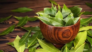 Bay leaf hack: 6 reasons to skip the dishwasher and clean dishes naturally