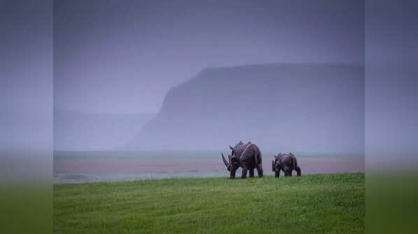 Serengeti, Tanzania